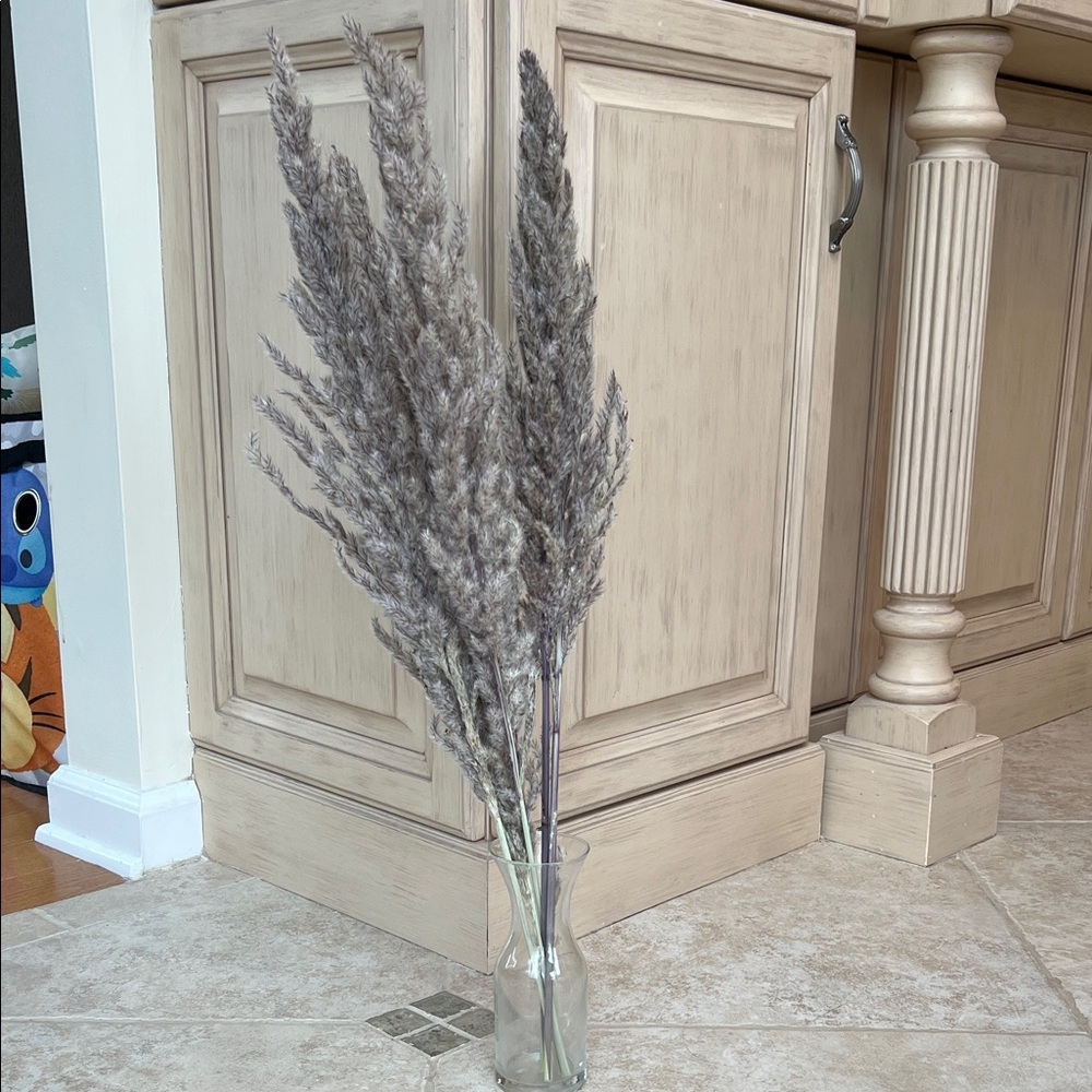 Natural Pampas Grass Gray Set of 5 Stems, Short Length 24" - Picture 5 of 5
